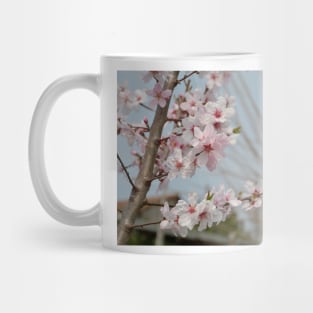 Almond Blossom Mug